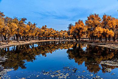 可爱寻物游戏《失物认领有限公司》6月更新简中